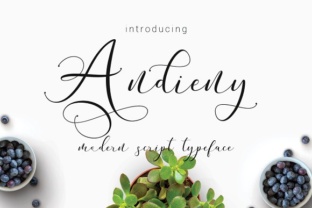 Andieny: A Modern Script Handwritten Typeface for Editorial Design