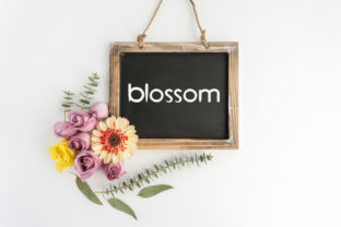 Blossom: A Sweet Flowing Sans Serif Font for Campaign Design