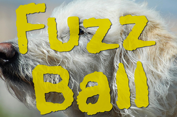 Fuzzball: A Soft-Textured Font for Whimsical Editorial Design