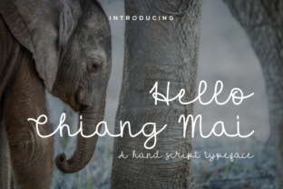 Hello Chiang Mai: A Relaxed Script Font for Editorial Design