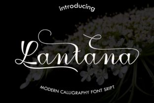 Lantana: A Modern Calligraphy Typeface for Editorial Design