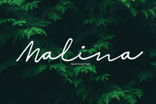 Malina: The Handwritten Script Font for Modern Campaigns