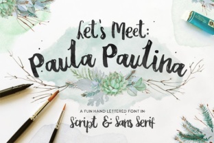 Paula Paulina: The Modern Script Font for Campaigns That Stand Out