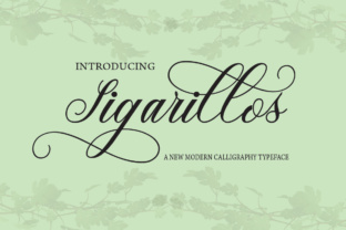 Sigarillos: The Elegant Script Font for High-Impact Campaigns